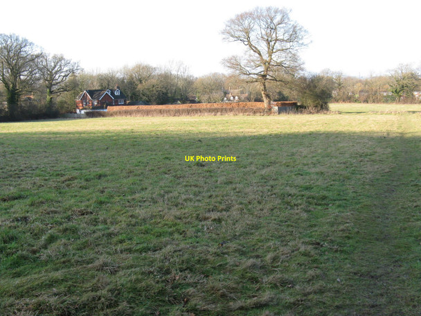 Photo 6"x4" Beech hedging around property at Wivelsfield Wivelsfield c2010