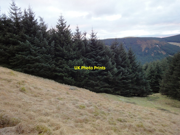 Photo 6"x4" Steep slope to top of Croglin Croglin Craig c2010