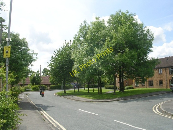 Photo 6"x4" Glenroyd Avenue - Cleckheaton Road Odsal c2009