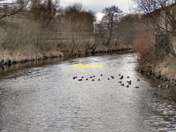 Photo 6"x4" River Irwell Ramsbottom c2010