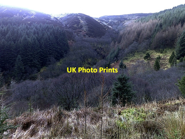 Photo 6"x4" The Head of Rhonadale Bridgend\/NR7937 c2010