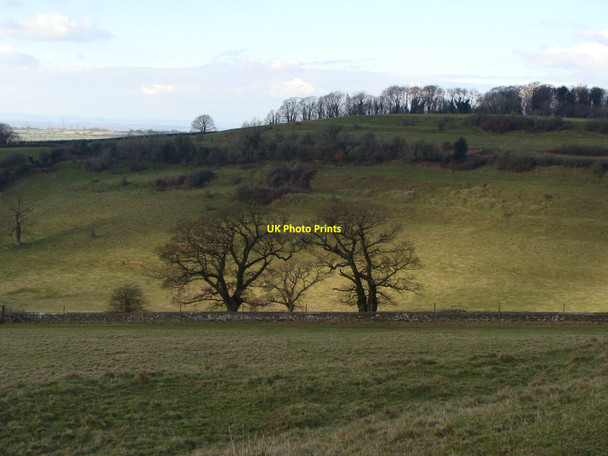 Photo 6"x4" The side of Hinton Hill from Dyrham Park Hinton\/ST7376 c2010