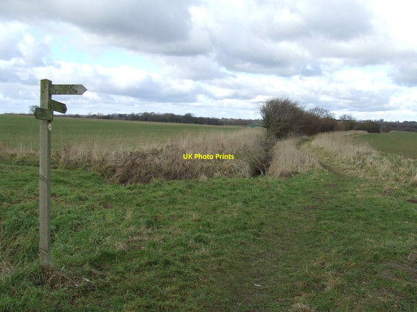 Photo 6"x4" Footpath Junction Fen Street\/TM0579 c2010