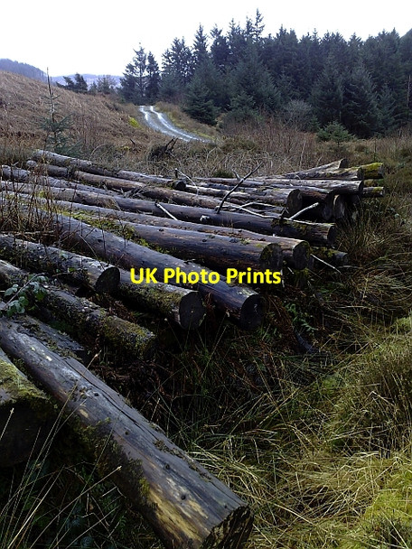 Photo 6"x4" Left to Rot (2) Bridgend\/NR7937 c2010