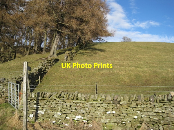 Photo 6"x4" Footpath towards Coldberry Dent Bank c2010