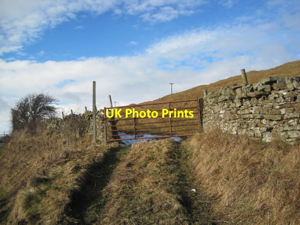 Photo 6"x4" Footpath leading to Hardberry Hill Allotment Dent Bank c2010