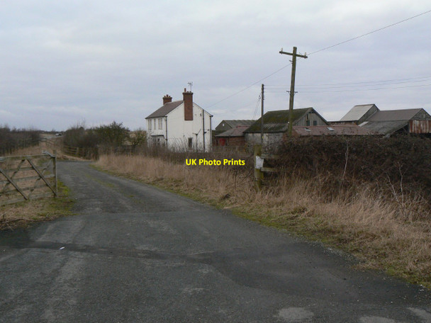 Photo 6"x4" The lane to Holly Bank Farm Arkendale\/SE3860 c2010