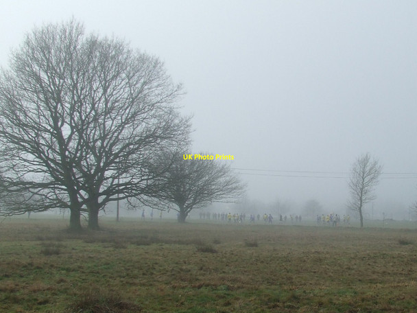 Photo 6"x4" Playing In The Mist The Marsh\/TM0877 c2010