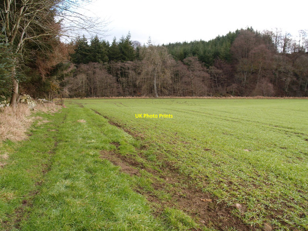 Photo 6"x4" Farmland at East Haugh, Dilston Dilston c2010