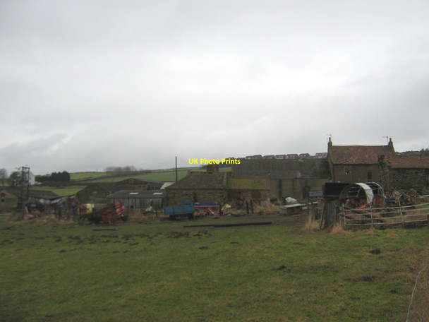 Photo 6"x4" Gripps Farm near Brotton Brotton c2010