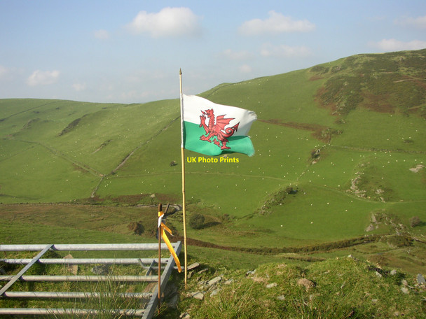 Photo 6"x4" Wales forever. Cwmsymlog c2008