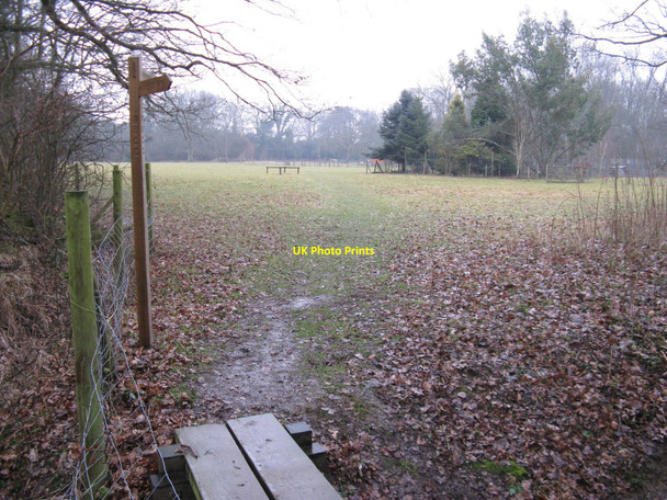 Photo 6"x4" Footpath to Rapkyns from Nowhurst Farm Strood Green\/TQ1332 c2010