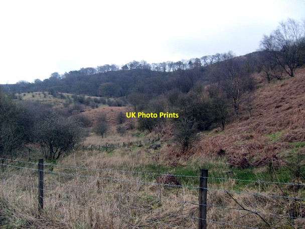 Photo 6"x4" Boggy hollow, Nether Croy Blackwood\/NS7274 c2009