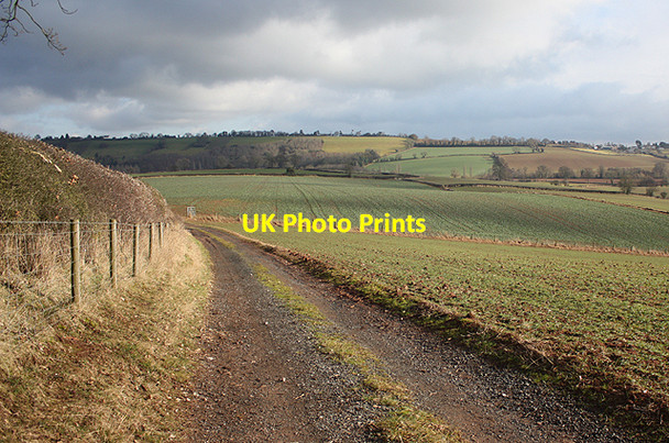 Photo 6"x4" View to Linton Ridge Bromsash c2010