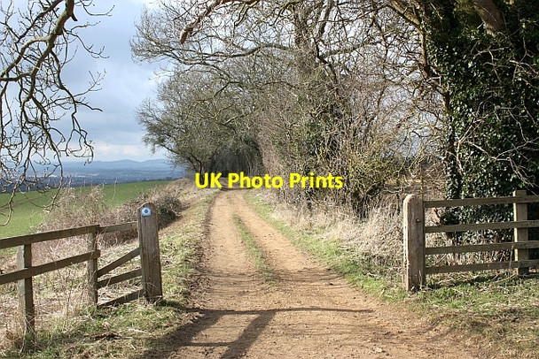 Photo 6"x4" Bridleway to Overbury Conderton c2010