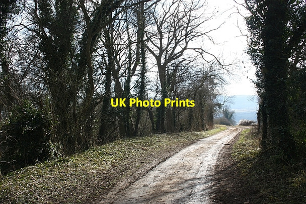 Photo 6"x4" Track down Bredon Hill Conderton c2010