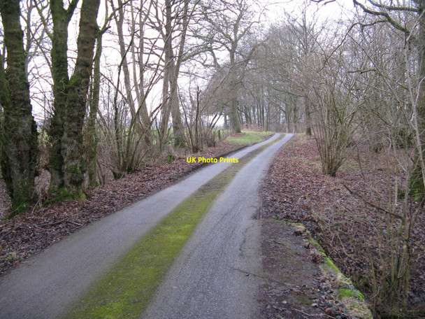 Photo 6"x4" Footpath and road to Violets Farm Park Street\/TQ1131 c2010