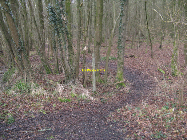 Photo 6"x4" Footpath leaving the Downs Link path into Farm Copse Park Street\/TQ1131 c2010