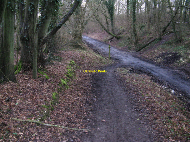 Photo 6"x4" Slope connecting the bridleway Downs Link path to the bridleway to Slinfold Park Street\/TQ1131 c2010