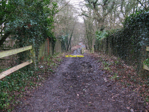 Photo 6"x4" Bridge over the former Guildford to Horsham line Park Street\/TQ1131 c2010