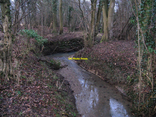 Photo 6"x4" Tributary of the River Arun near Lane End Farm Park Street\/TQ1131 c2010
