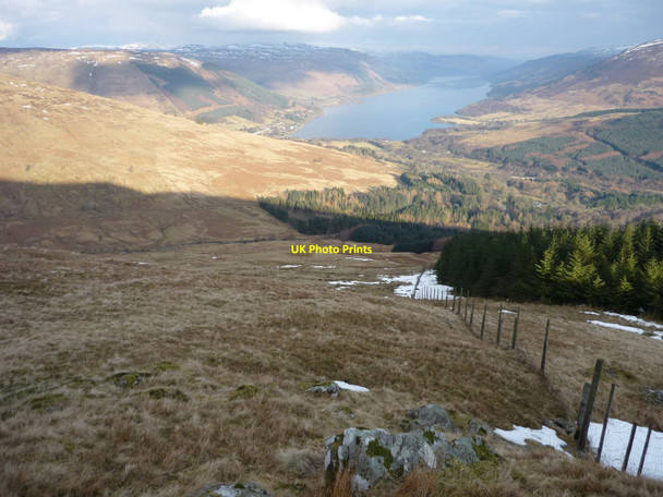 Photo 6"x4" Forest Edge in Glen Kendrum Kingshouse c2010