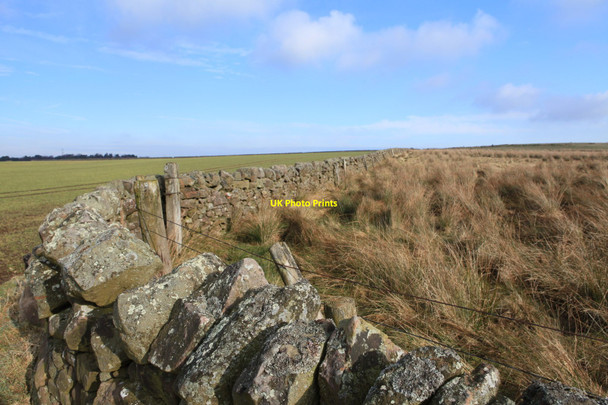 Photo 6"x4" Differing types of farming in the Pentland Hills Currie c2010