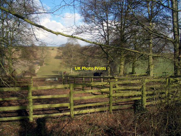 Photo 6"x4" Green Fence Bothampstead c2010