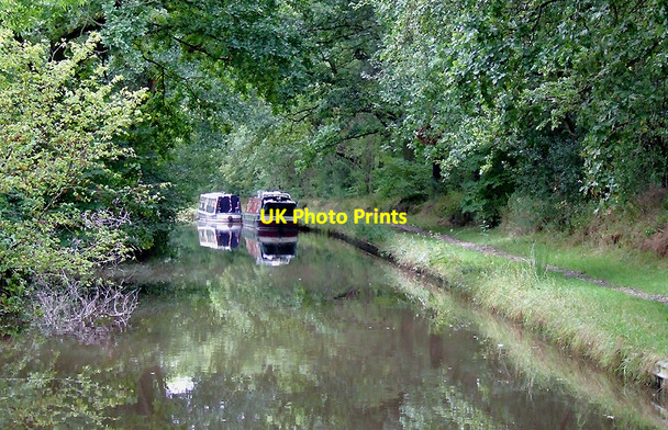 Photo 6"x4" Stratford-upon-Avon Canal near Hockley Heath, Solihull Box Trees c2008
