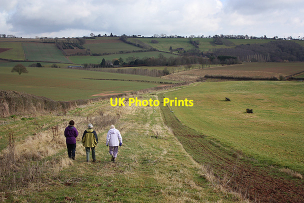 Photo 6"x4" Footpath by the training gallops Bromsash c2010