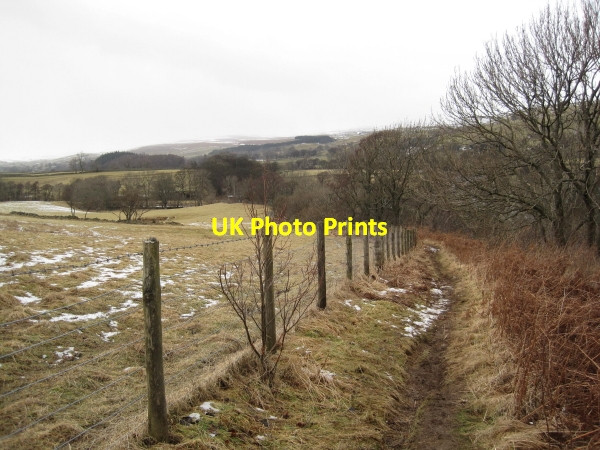 Photo 6"x4" Pennine Way above the River Tees Holwick c2010