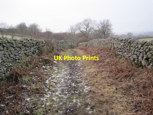 Photo 6"x4" Pennine Way, Teesdale Dent Bank c2010