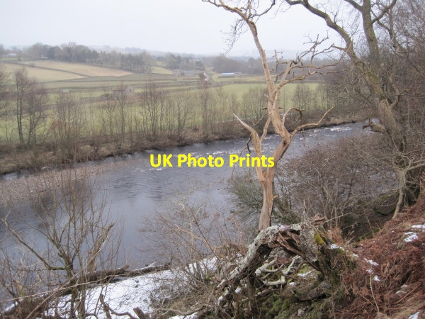 Photo 6"x4" River Tees from the Pennine Way Dent Bank c2010