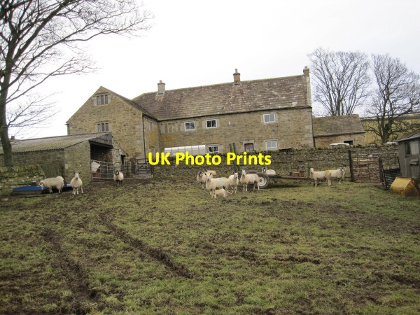 Photo 6"x4" Stotley Hall, Teesdale High Dyke\/NY9525 c2010