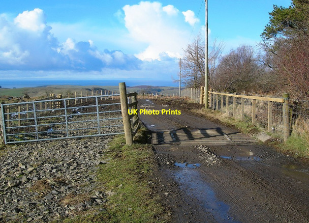 Photo 6"x4" At Craig Wood Heronsford c2010