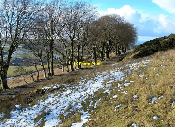 Photo 6"x4" Glen Tig Track Colmonell c2010