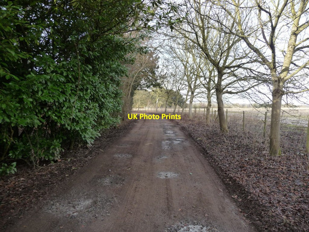 Photo 6"x4" Cholderton - Footpath Cholderton c2010 P2