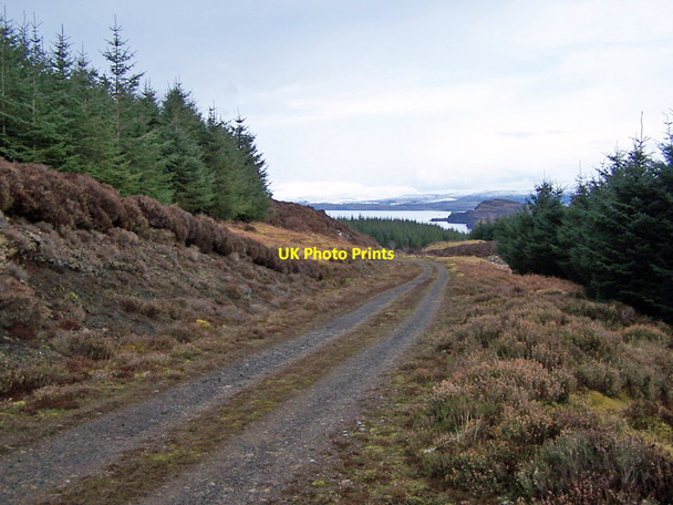 Photo 6"x4" Forestry track Flashader c2010