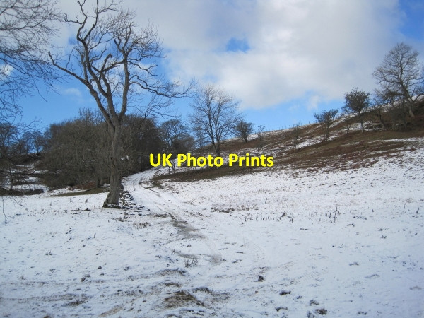 Photo 6"x4" Byway to The Ash Stonehaugh c2010