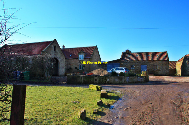 Photo 6"x4" Whorlton House Heathwaite\/NZ4801 c2010