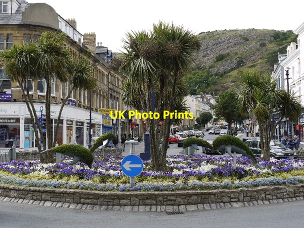 Photo 6"x4" Floral roundabout, Llandudno Llandudno c2009