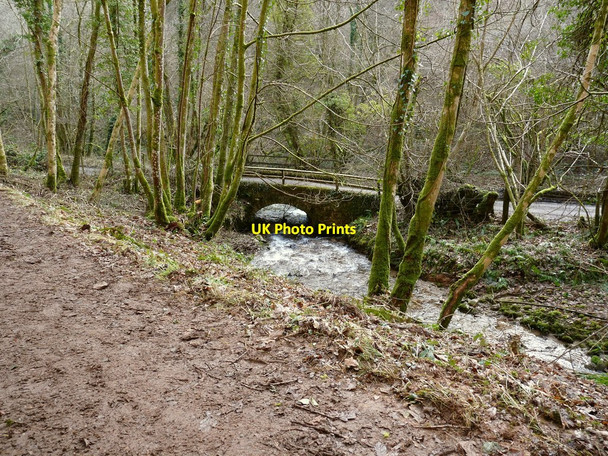 Photo 6"x4" Drapers Way crosses the River Avil in Snowdrop Valley, North Hawkswell Wood Cutcombe c2010