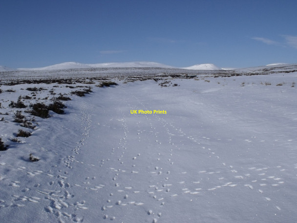 Photo 6"x4" Allt Geallaidh north-west of Carn nan Seabhag Carn nan Seabhag c2010