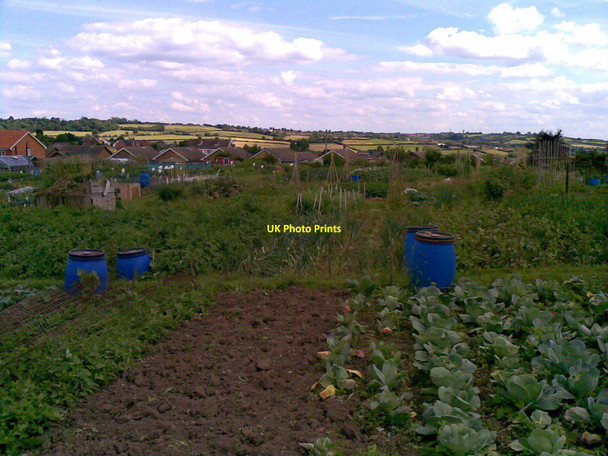 Photo 6"x4" Allotments, Charles Street Eastwood\/SK4646 c2008
