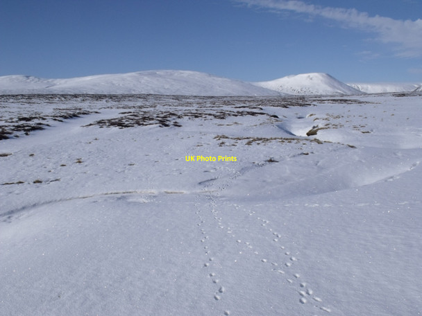Photo 6"x4" Burn junction at  the head of Allt Geallaidh near Sronphadruig Lodge Carn a' Mhurraich c2010