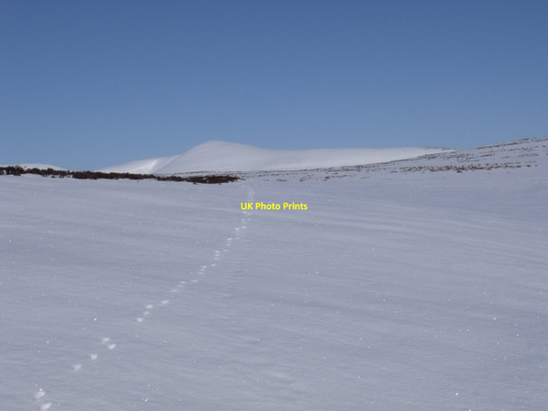 Photo 6"x4" Buried burn course on north-west slopes of Carn a' Mhurraich east of Sronphadruig Lodge Carn a' Mhurraich c2010