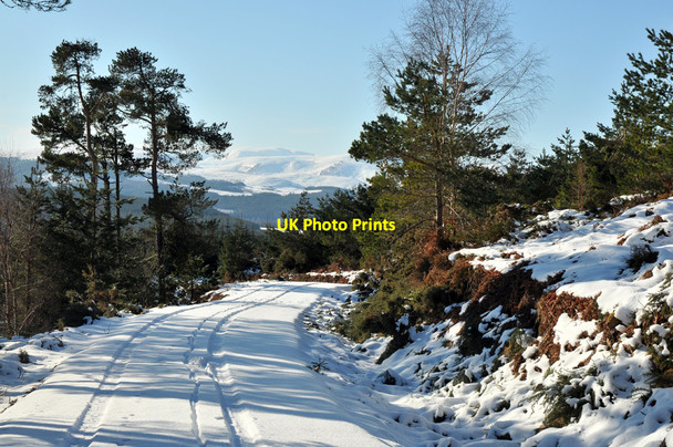 Photo 6"x4" View to Ben Wyvis Badachonacher c2010