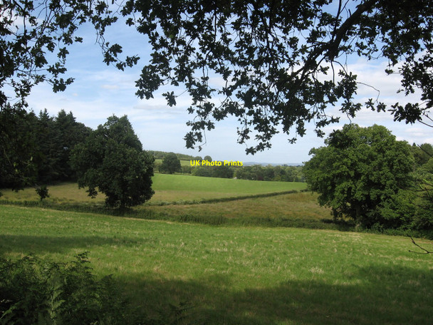 Photo 6"x4" Sylvan Goytre Pencroesoped c2008
