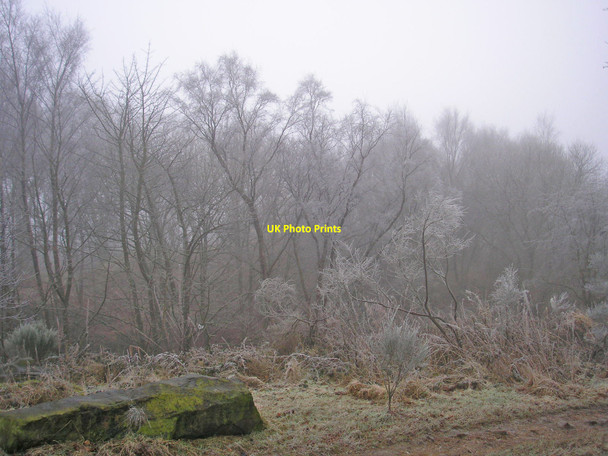 Photo 6"x4" Rawdon Billing in fog Yeadon c2010