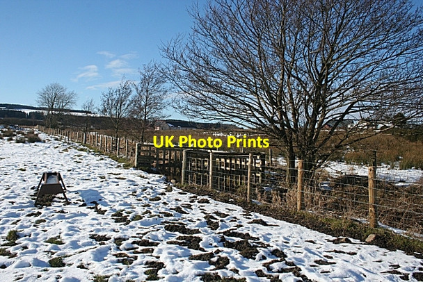 Photo 6"x4" Livestock Drinking Enclosure Finnygaud c2010